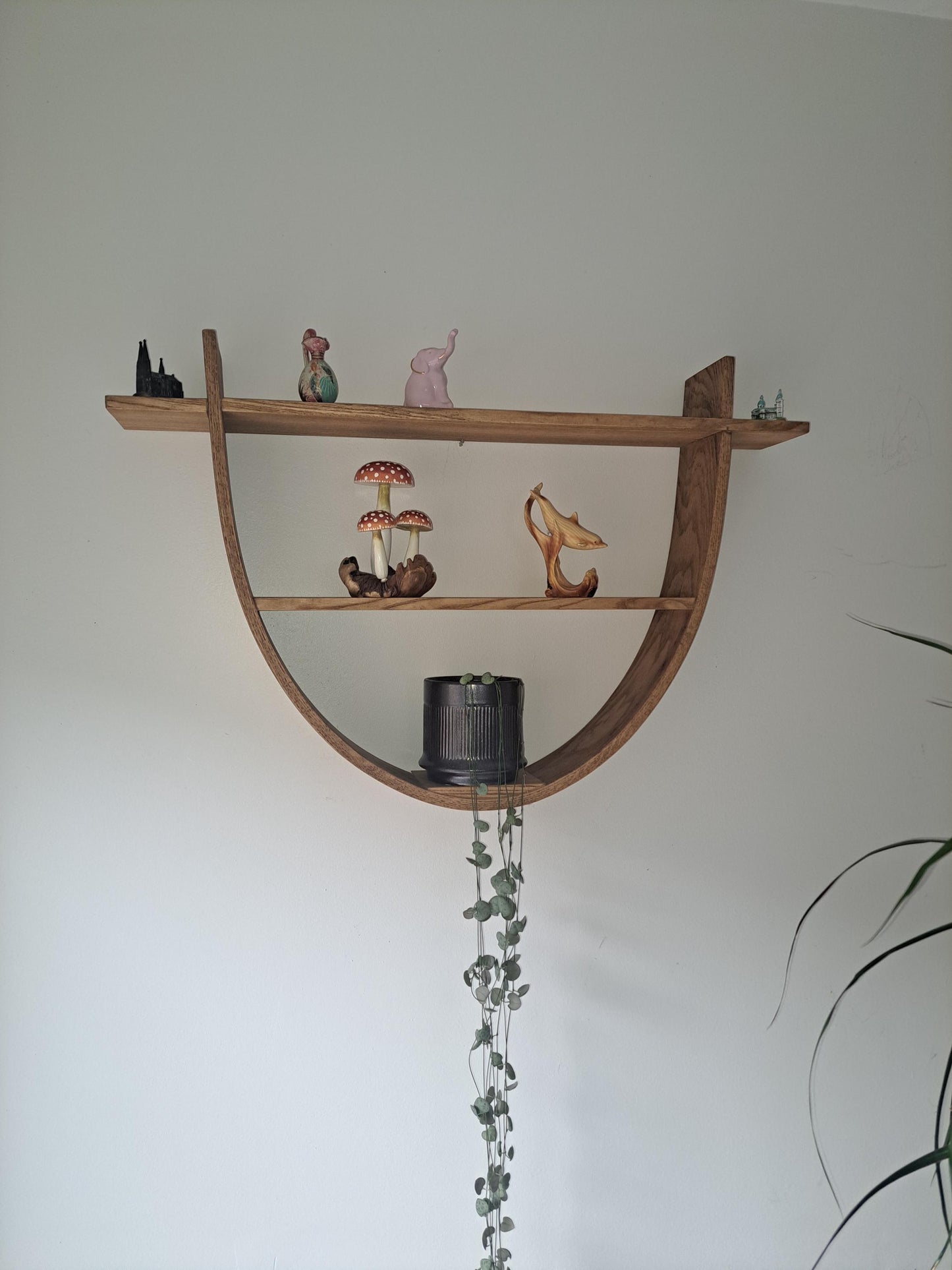 Red Oak Parabolica Floating Shelf: Modern Altar Essential Oil Display