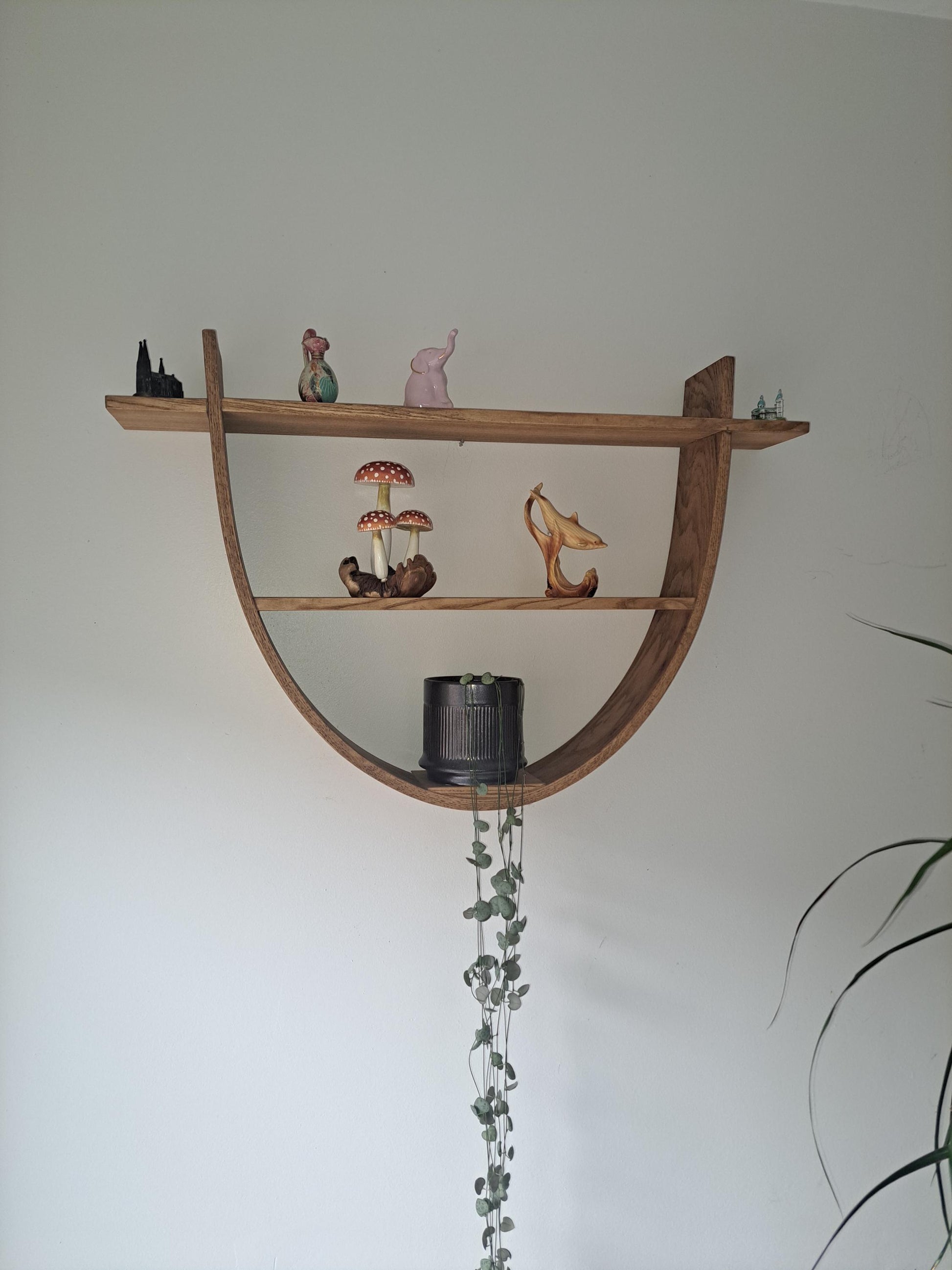 Red Oak Parabolica Floating Shelf: Modern Altar Essential Oil Display